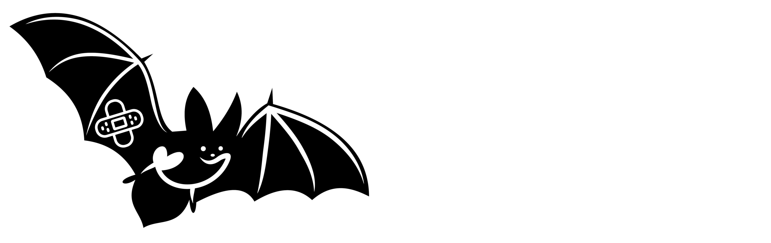 Hereford Bat Rescue